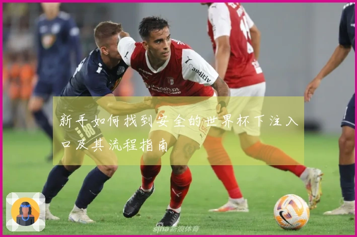 新手如何找到安全的世界杯下注入口及其流程指南