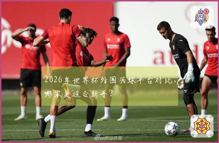 2026年世界杯外围买球平台对比，哪家更适合新手？