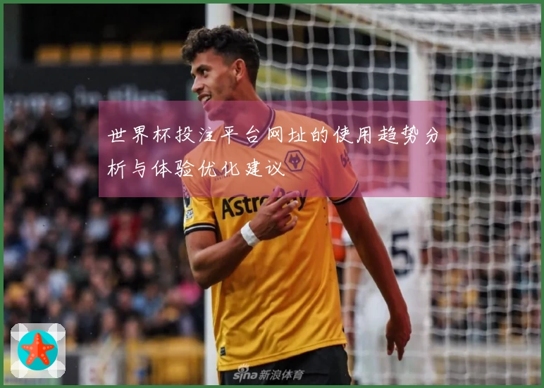 世界杯投注平台网址的使用趋势分析与体验优化建议