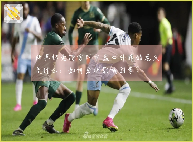 世界杯竞猜官网中盘口升降的意义是什么，如何分析影响因素？