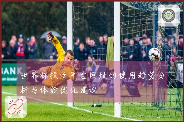 世界杯投注平台网址的使用趋势分析与体验优化建议