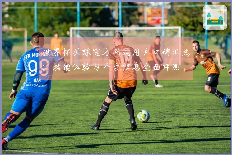 世界杯买球官方网站用户口碑汇总：功能体验与平台信息全面评测