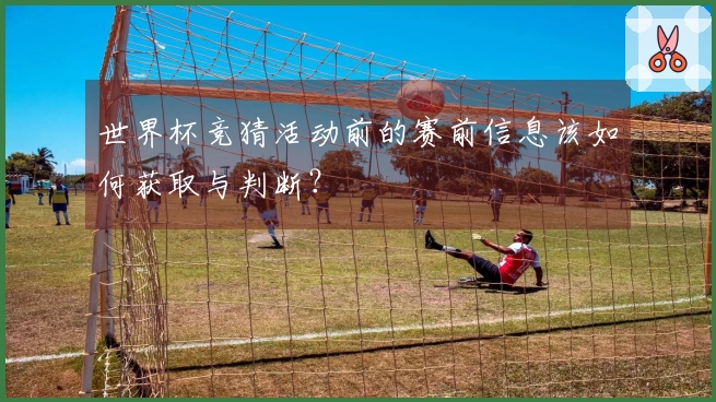 世界杯竞猜活动前的赛前信息该如何获取与判断？