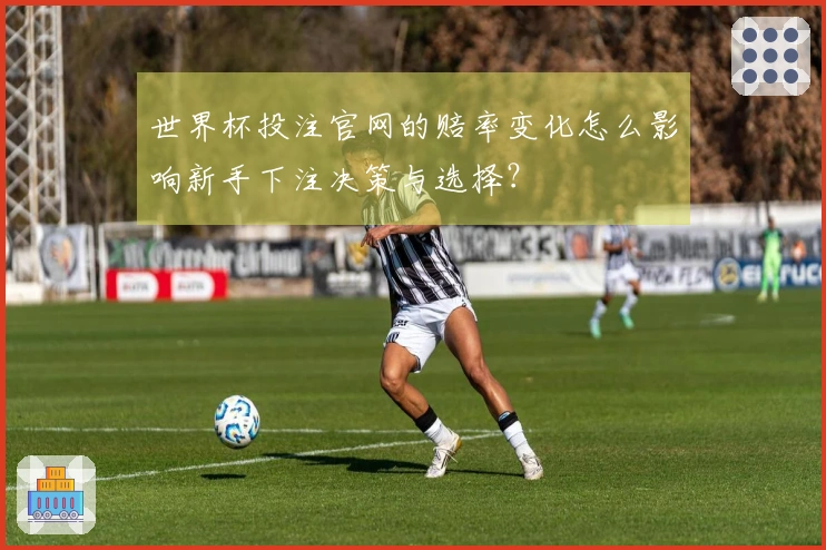 世界杯投注官网的赔率变化怎么影响新手下注决策与选择？