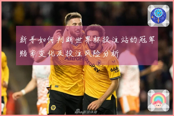新手如何判断世界杯投注站的冠军赔率变化及投注风险分析