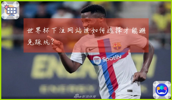 世界杯下注网站该如何选择才能避免踩坑？