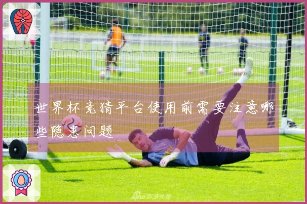 世界杯竞猜平台使用前需要注意哪些隐患问题