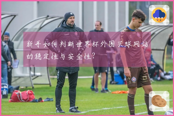 新手如何判断世界杯外围买球网站的稳定性与安全性？
