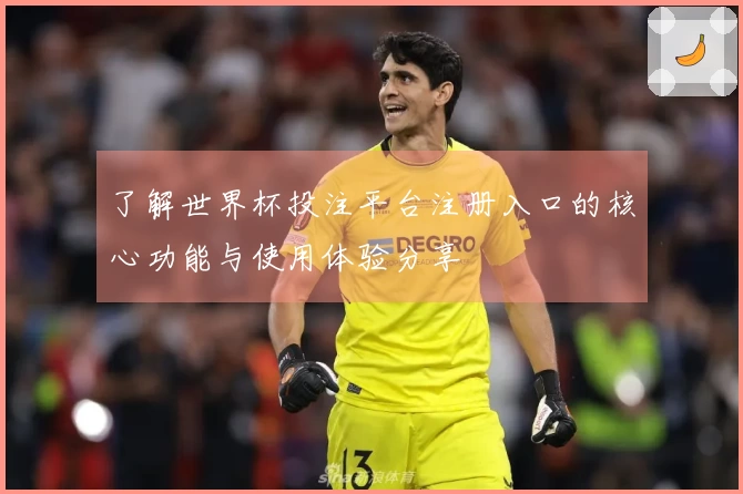 了解世界杯投注平台注册入口的核心功能与使用体验分享