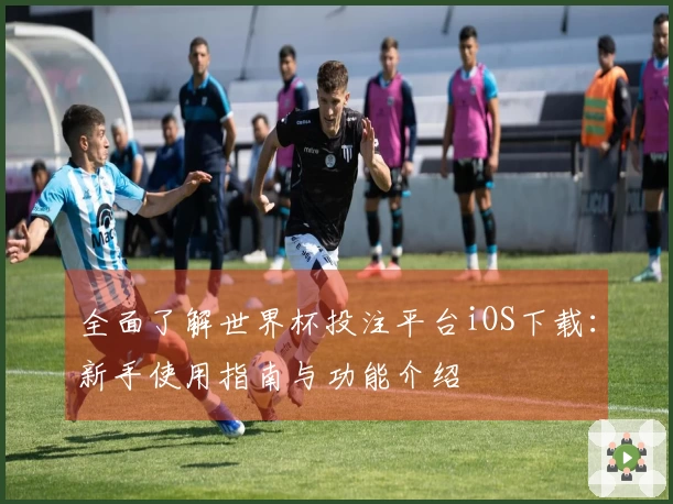 全面了解世界杯投注平台iOS下载：新手使用指南与功能介绍