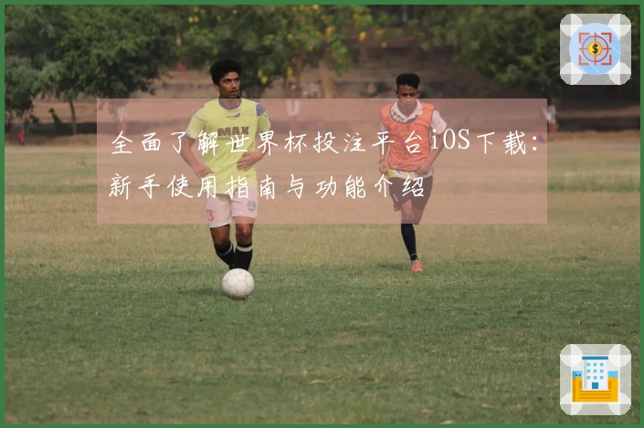 全面了解世界杯投注平台iOS下载：新手使用指南与功能介绍