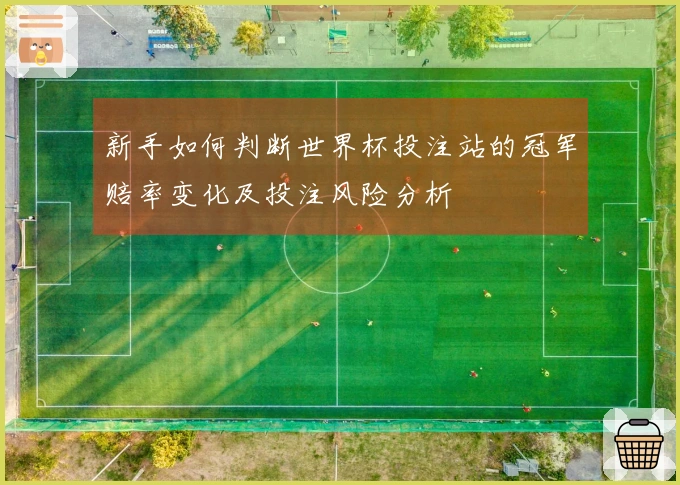 新手如何判断世界杯投注站的冠军赔率变化及投注风险分析