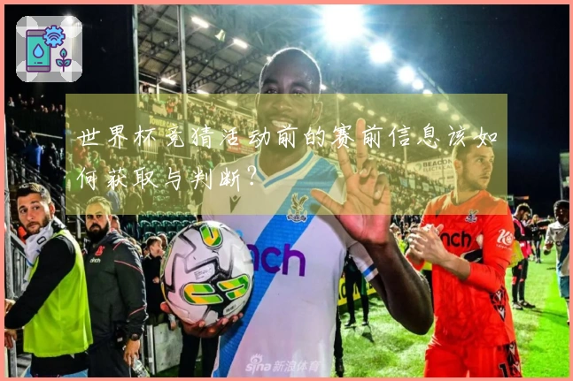 世界杯竞猜活动前的赛前信息该如何获取与判断？