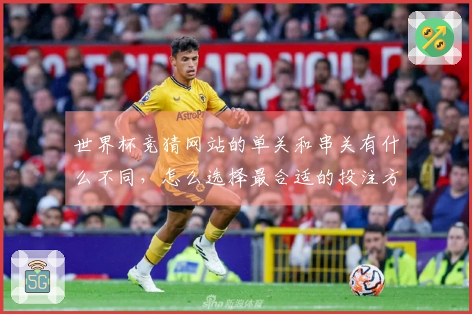 世界杯竞猜网站的单关和串关有什么不同，怎么选择最合适的投注方式？