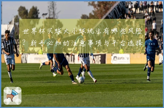 世界杯买球大小球玩法有哪些风险？新手必知的注意事项与平台选择技巧